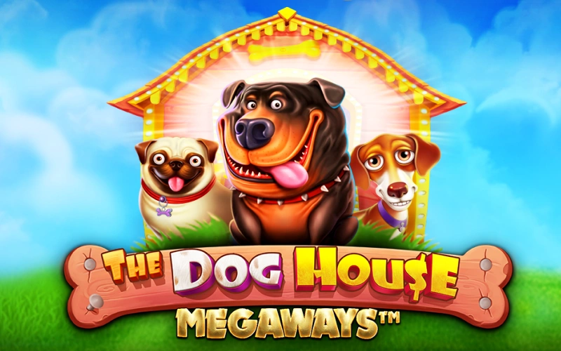 Play the popular game The Dog House Megaways in the 1win online casino.