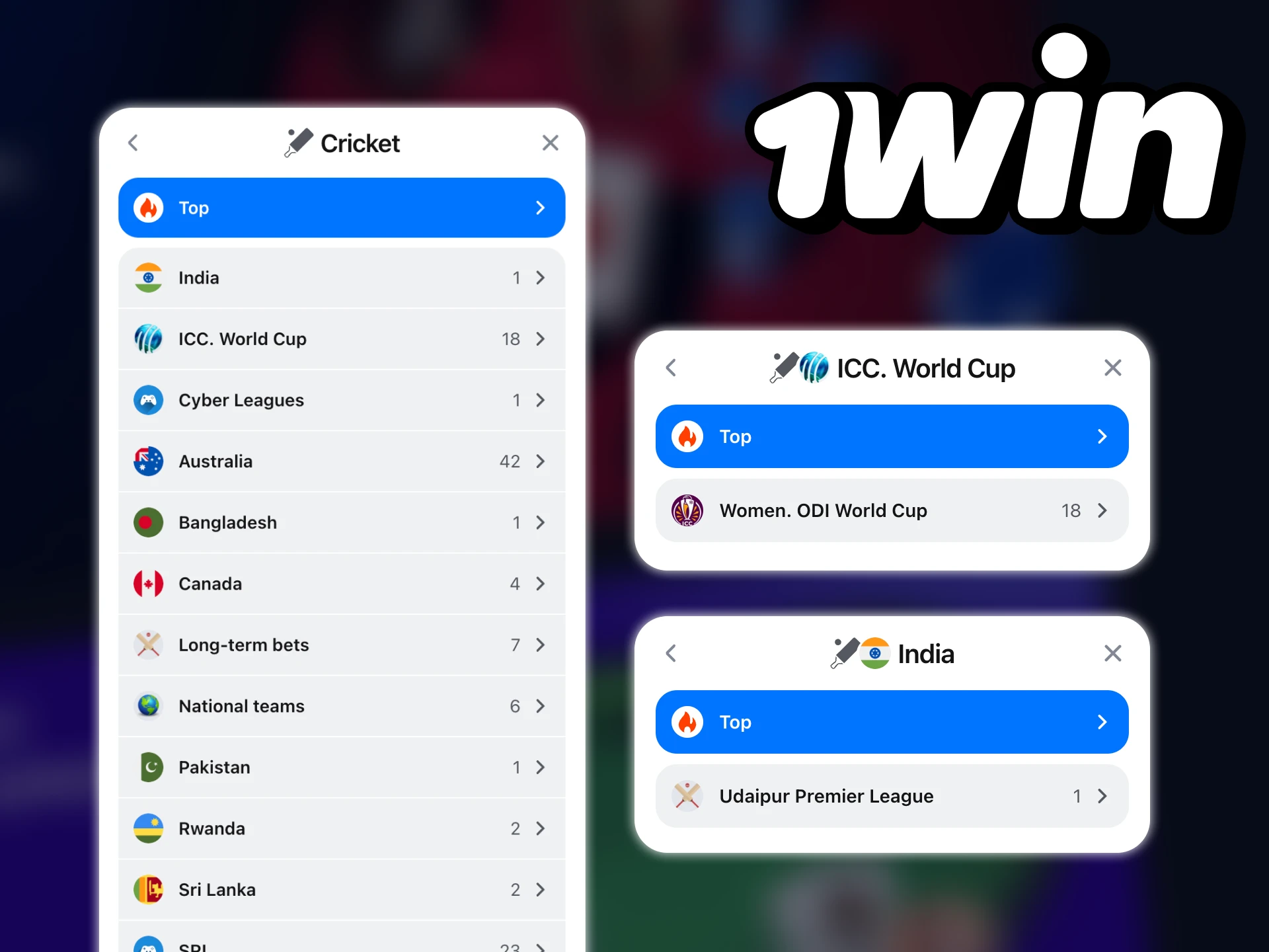 Start betting on various cricket tournaments at 1win.